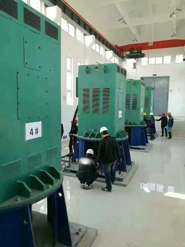 静宁某污水处理厂使用我厂的立式高压电机安装现场现货销售